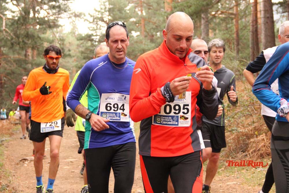 Carrera Cercedilla 2015-01