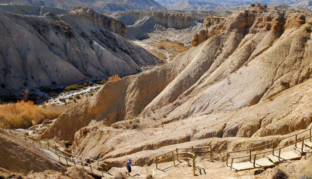 Tabernas 1