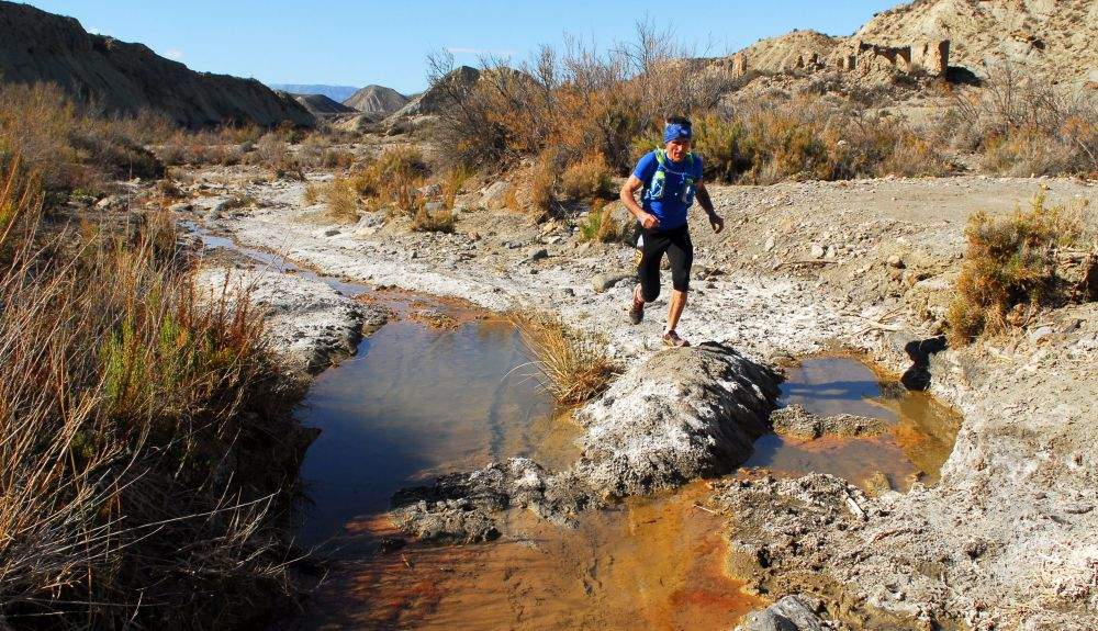 Tabernas 5