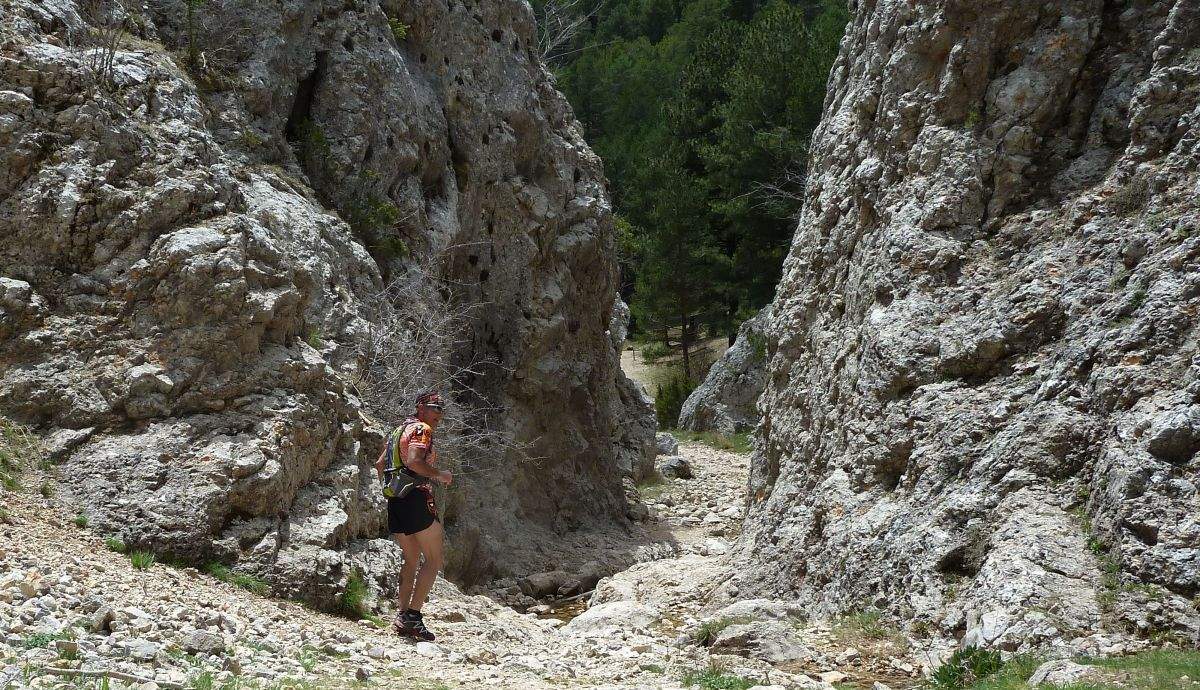 Trail San Felipe (50)