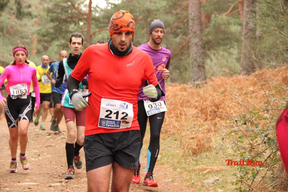 Carrera Cercedilla 2015-01