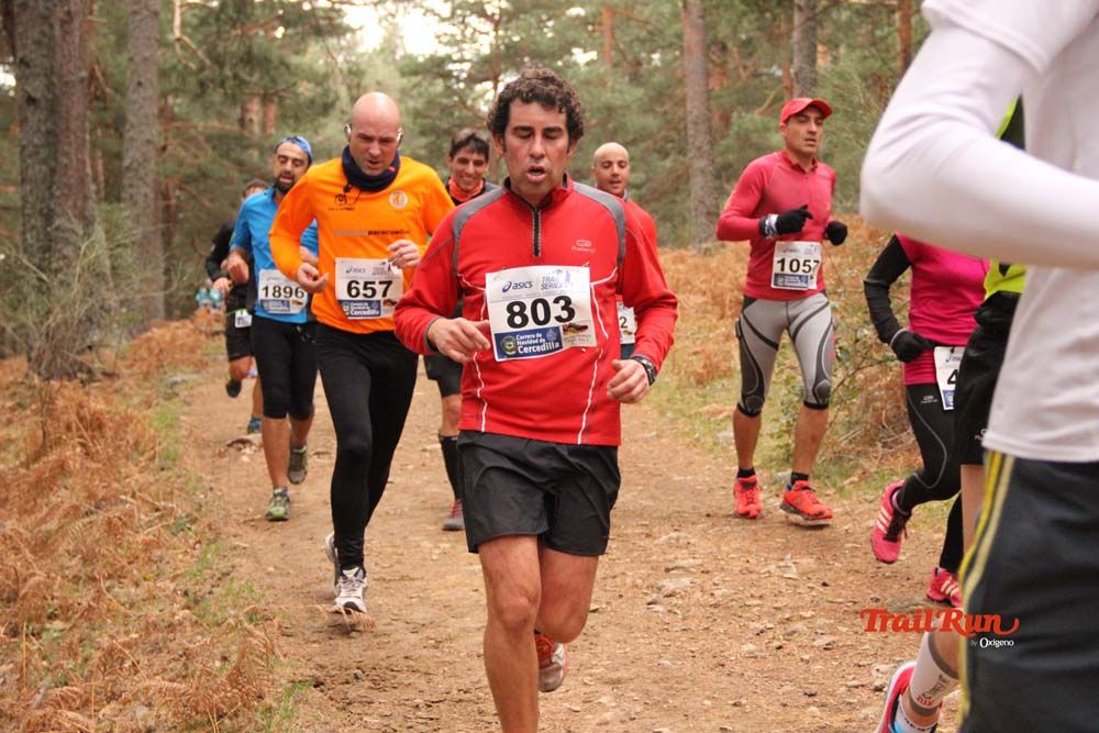 Carrera Cercedilla 2015-01