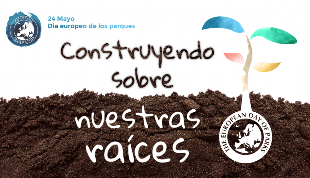 Captura de pantalla 2023 05 05 a las 10.05.29