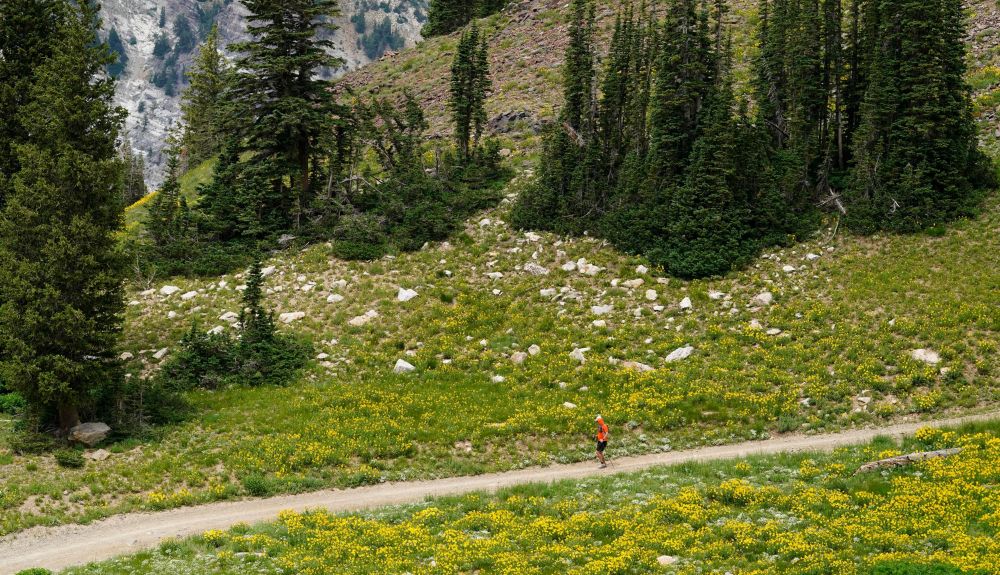 Speedgoat2022 Kyle Rivas Getty 95 e0791b4e0c
