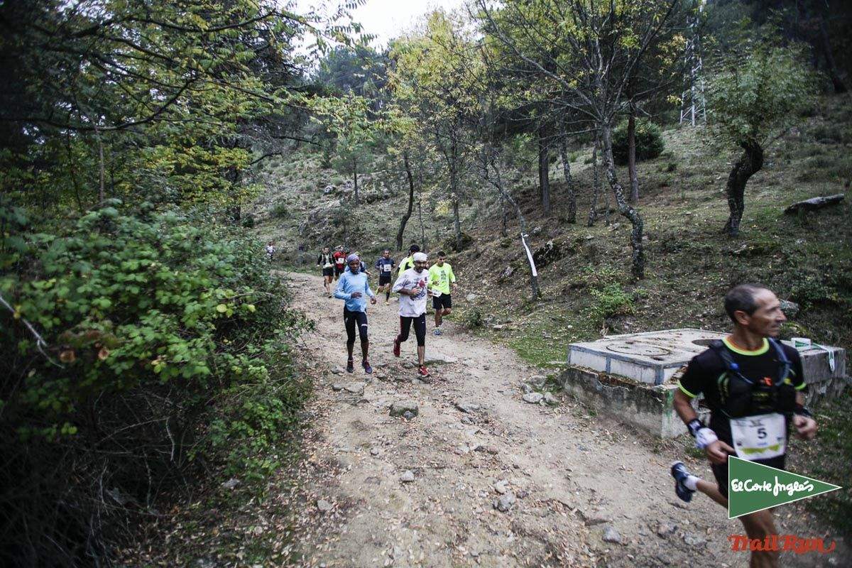 Races Trail Running-1