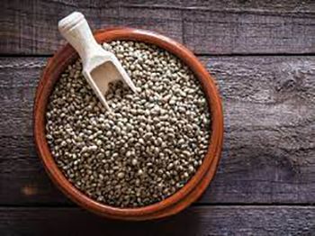 Semillas de cáñamo, fuente de proteína vegetal
