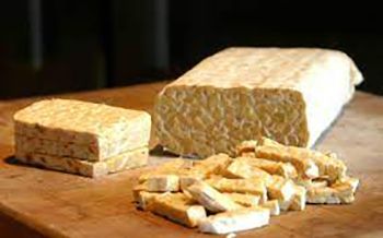 Tempeh orgánico, fuente de proteína vegetal