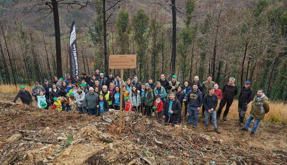 Participantes en la plantación de Tamburiello 
