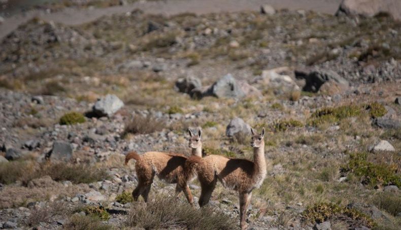 Los Maitenes 2   Creditos SERNATUR O'Higgins
