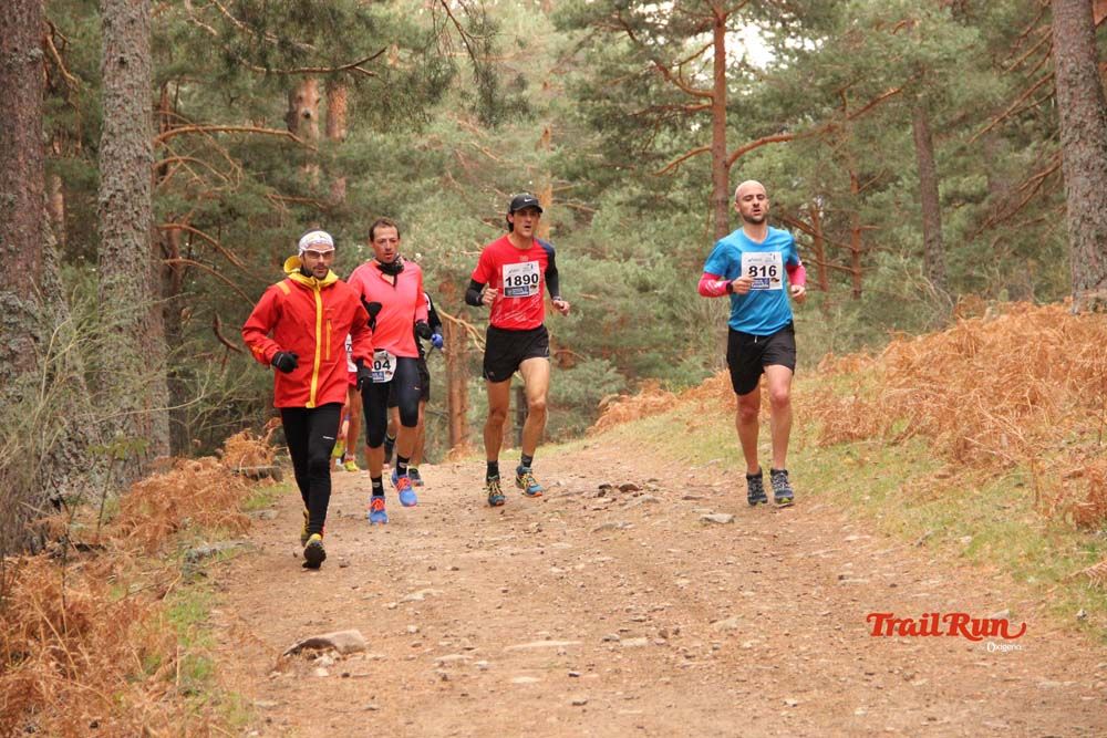 Carrera Cercedilla 2015-01