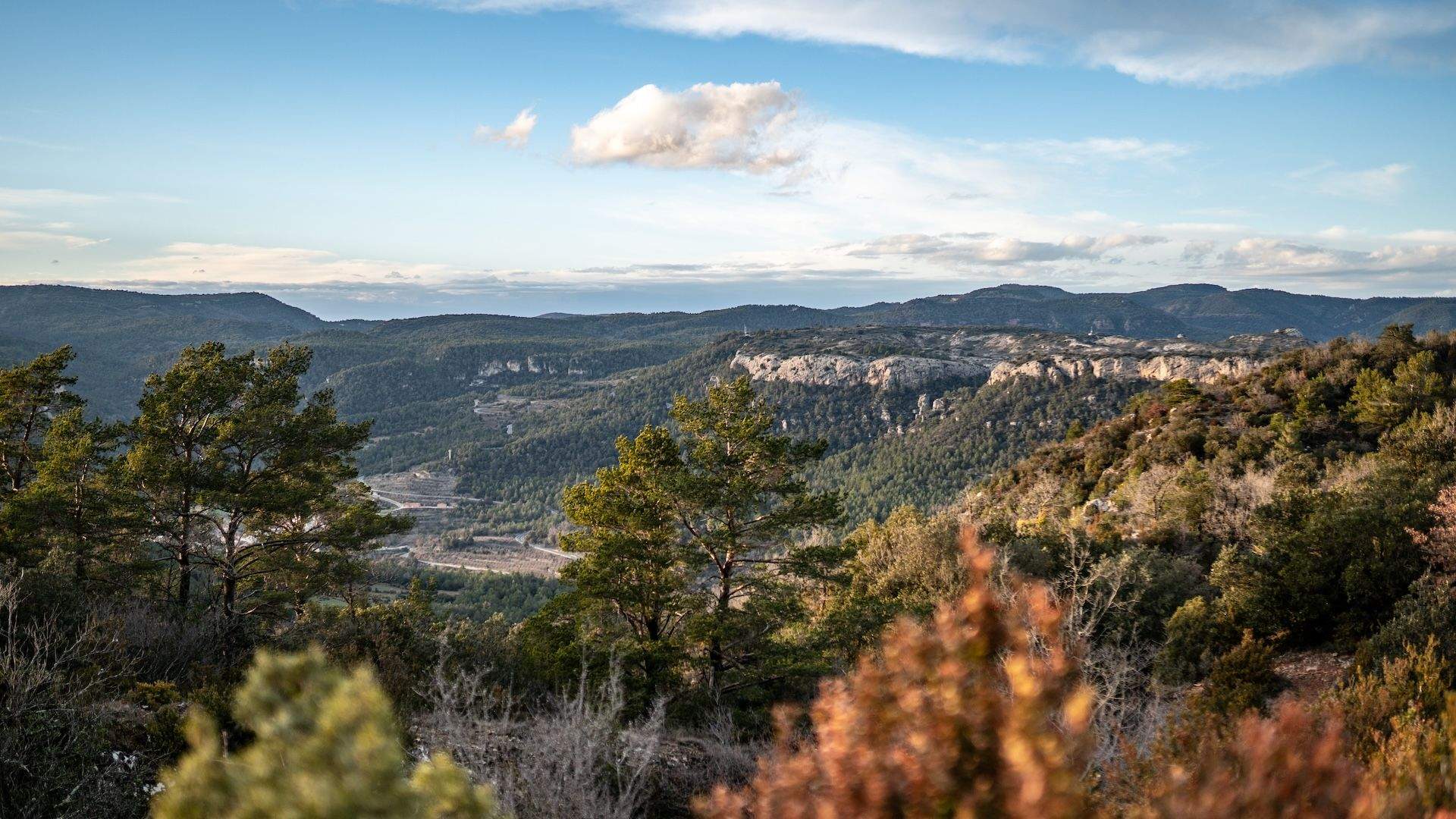 Muntanyes de Prades, destino trail los 365 días del año ©️@josemiguelmunoze