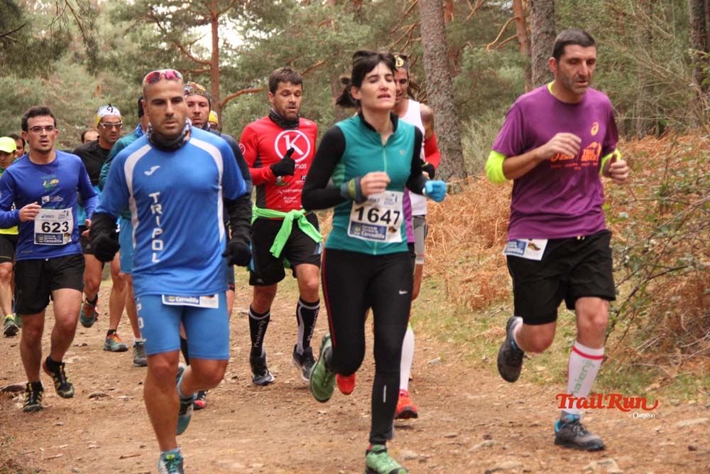 Carrera Cercedilla 2015-01