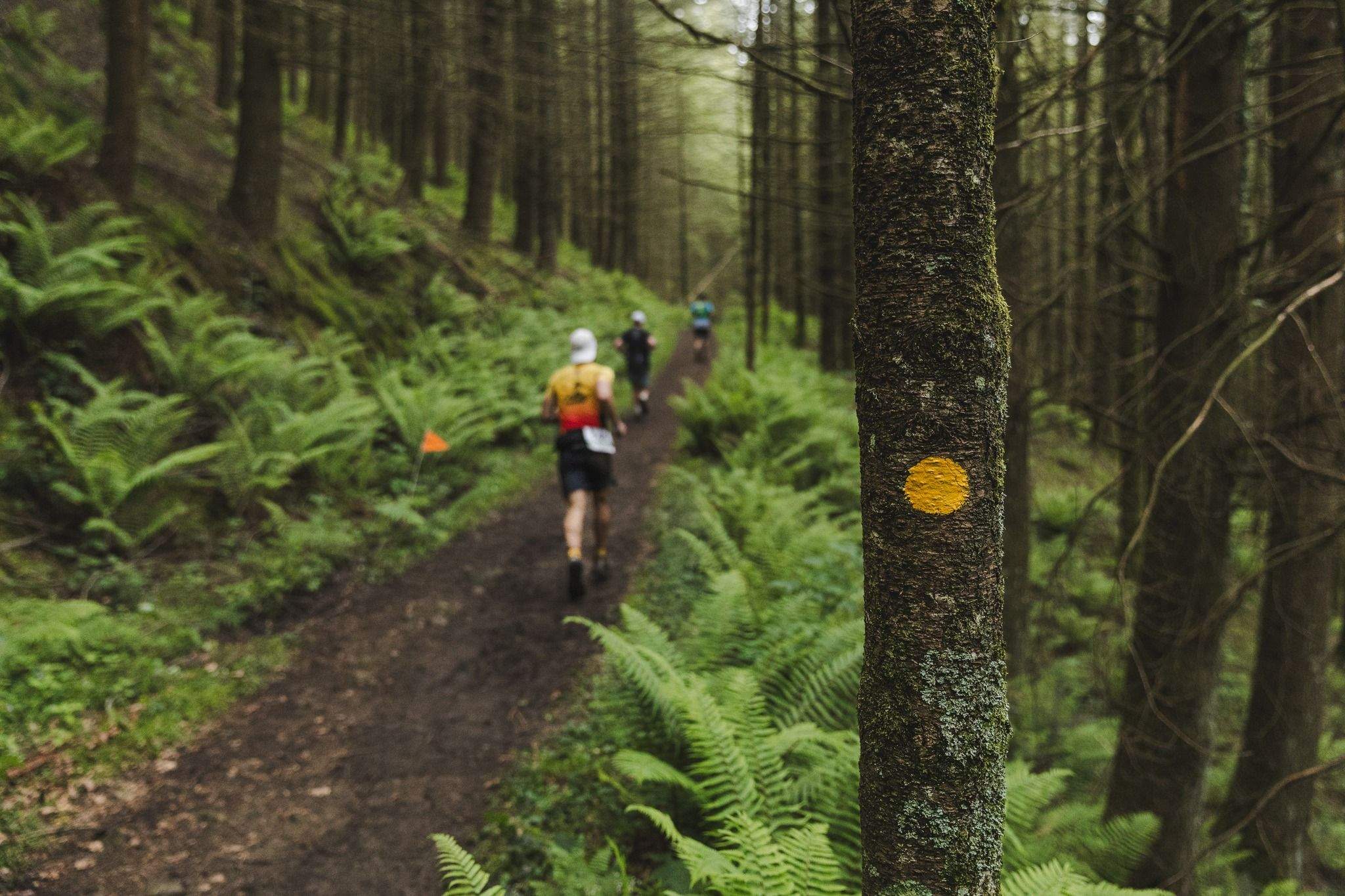 Zegama-Aizkorri fue en 2024 la ruta de trail running más popular de España ©️@igor_quijano Zegama-Aizkorri fue en 2024 la ruta de trail running más popular de España ©️@igor_quijano