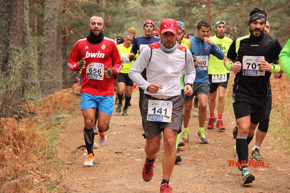 Carrera Cercedilla 2015-01