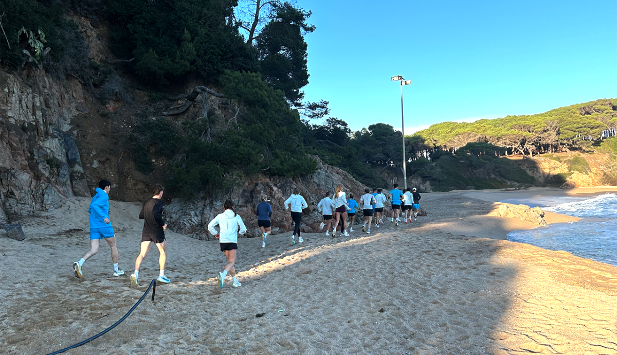 Training Camp