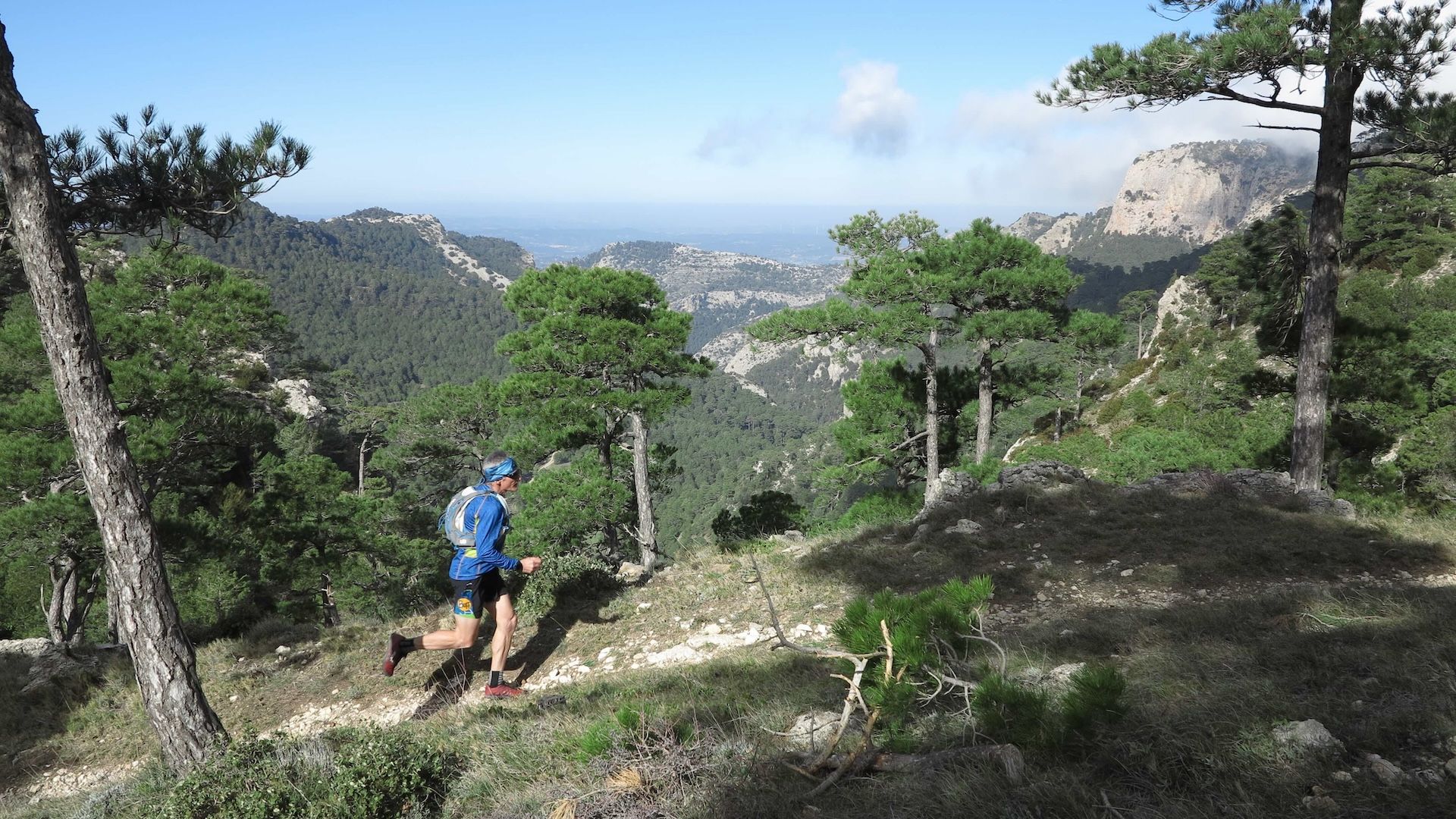Ruta Vuelta a la Moleta del Camp