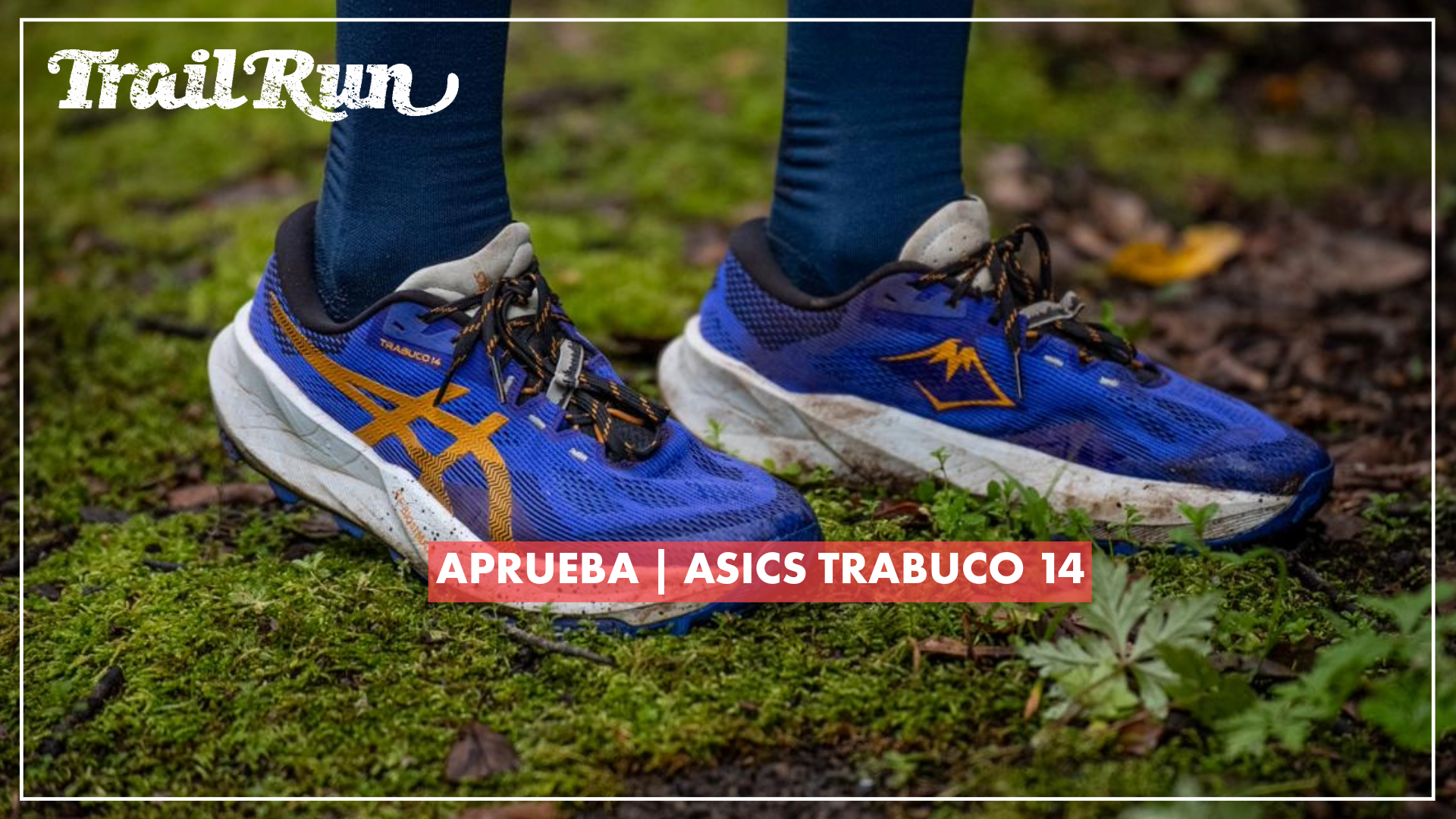 APRUEBA | ASICS TRABUCO 14