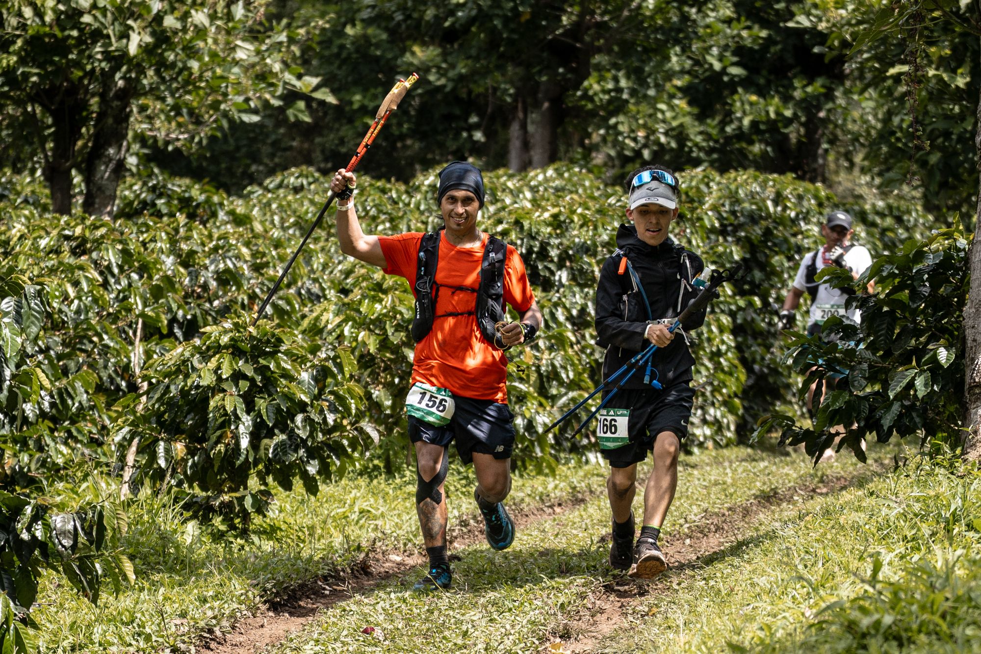 La montaña sabe a café en Ultra Panamá 2026 ©️Ultra Panamá Trail Series