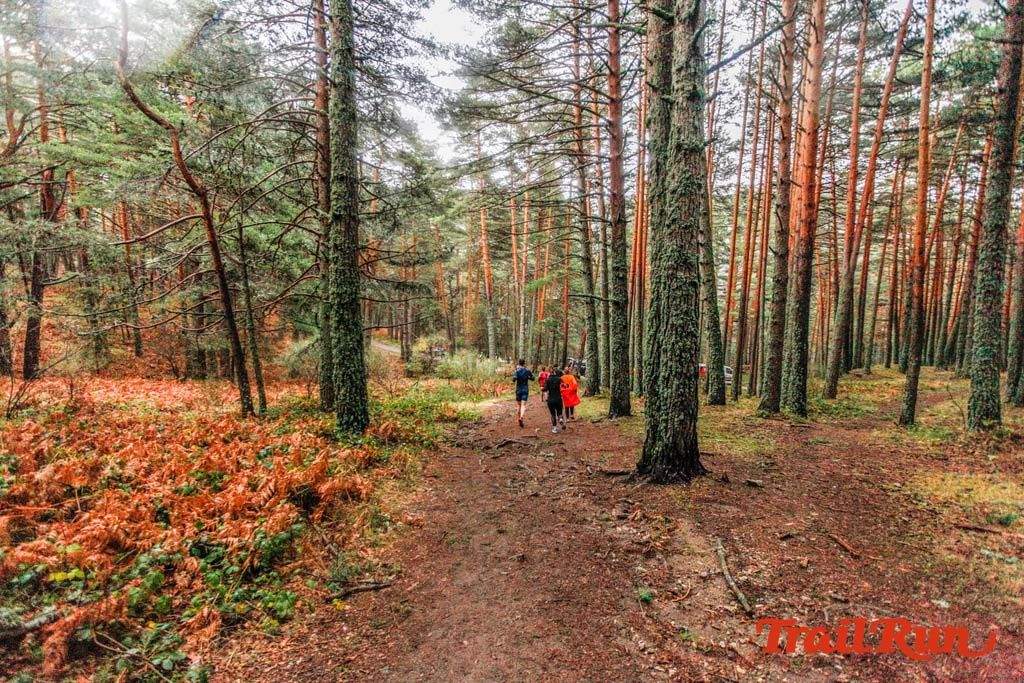 Carrera de Navidad de Cercedilla 2019 28