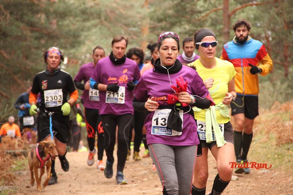 Carrera Cercedilla 2015-02