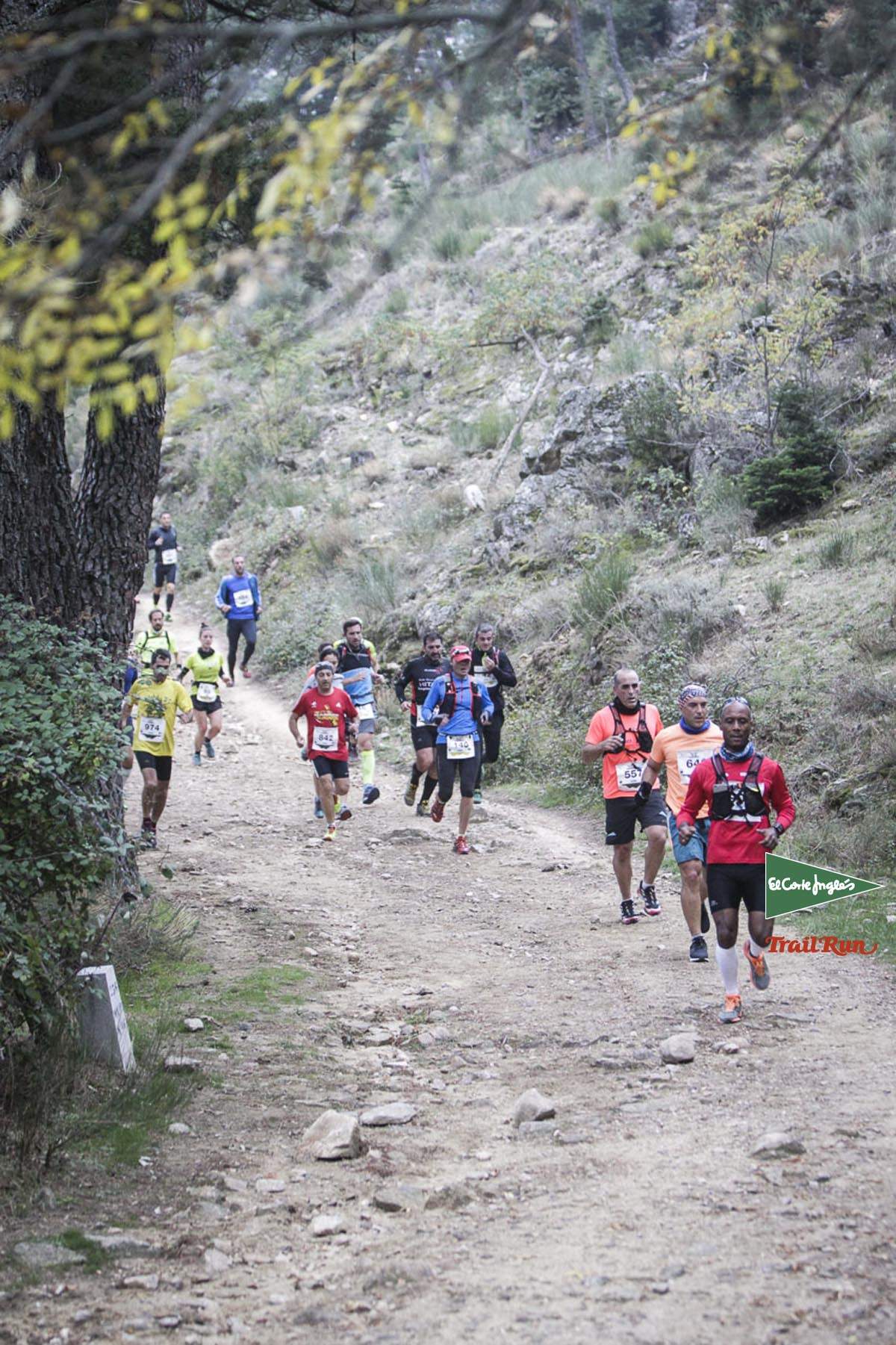 Races Trail Running-1