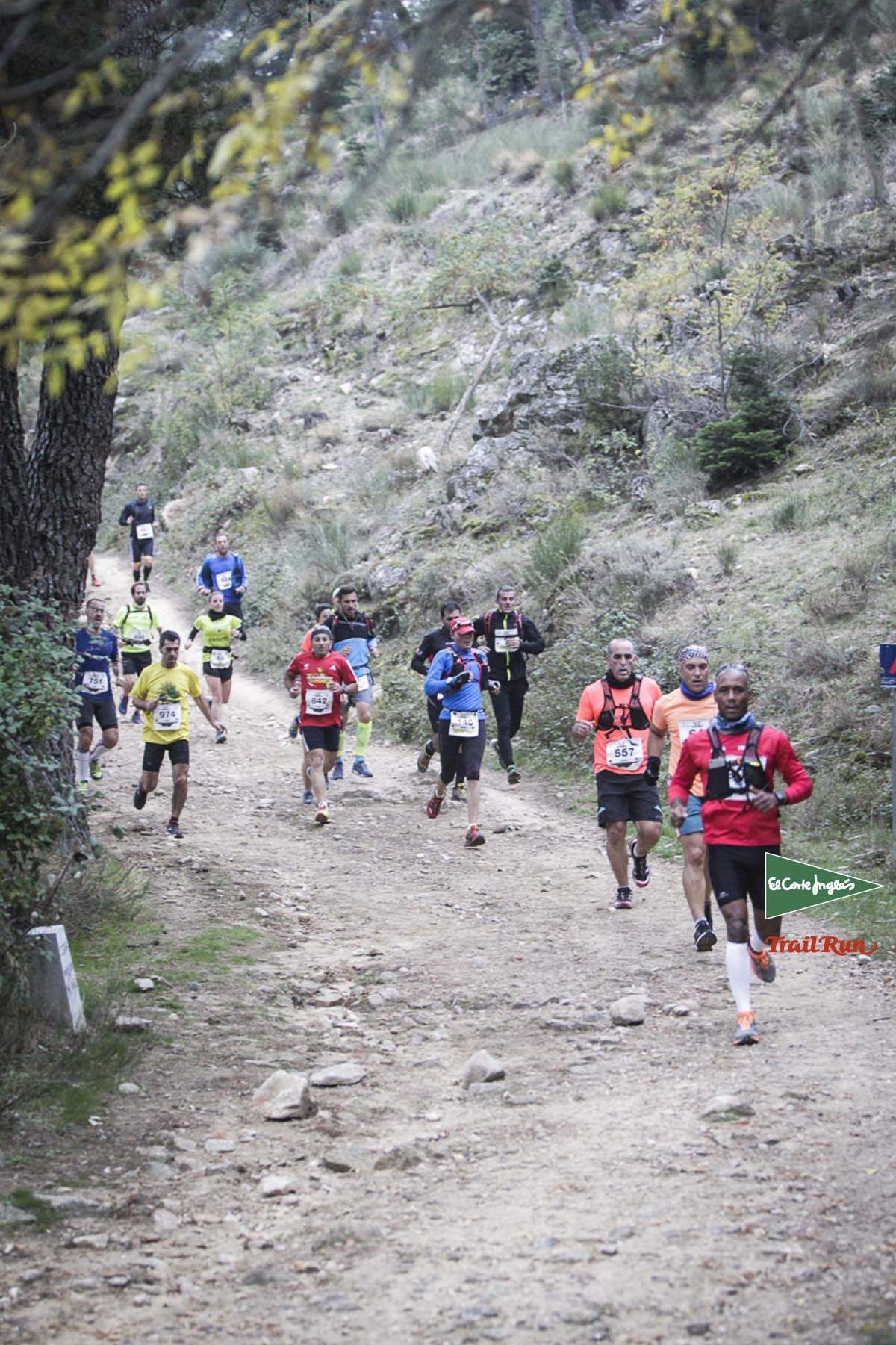 Races Trail Running-1