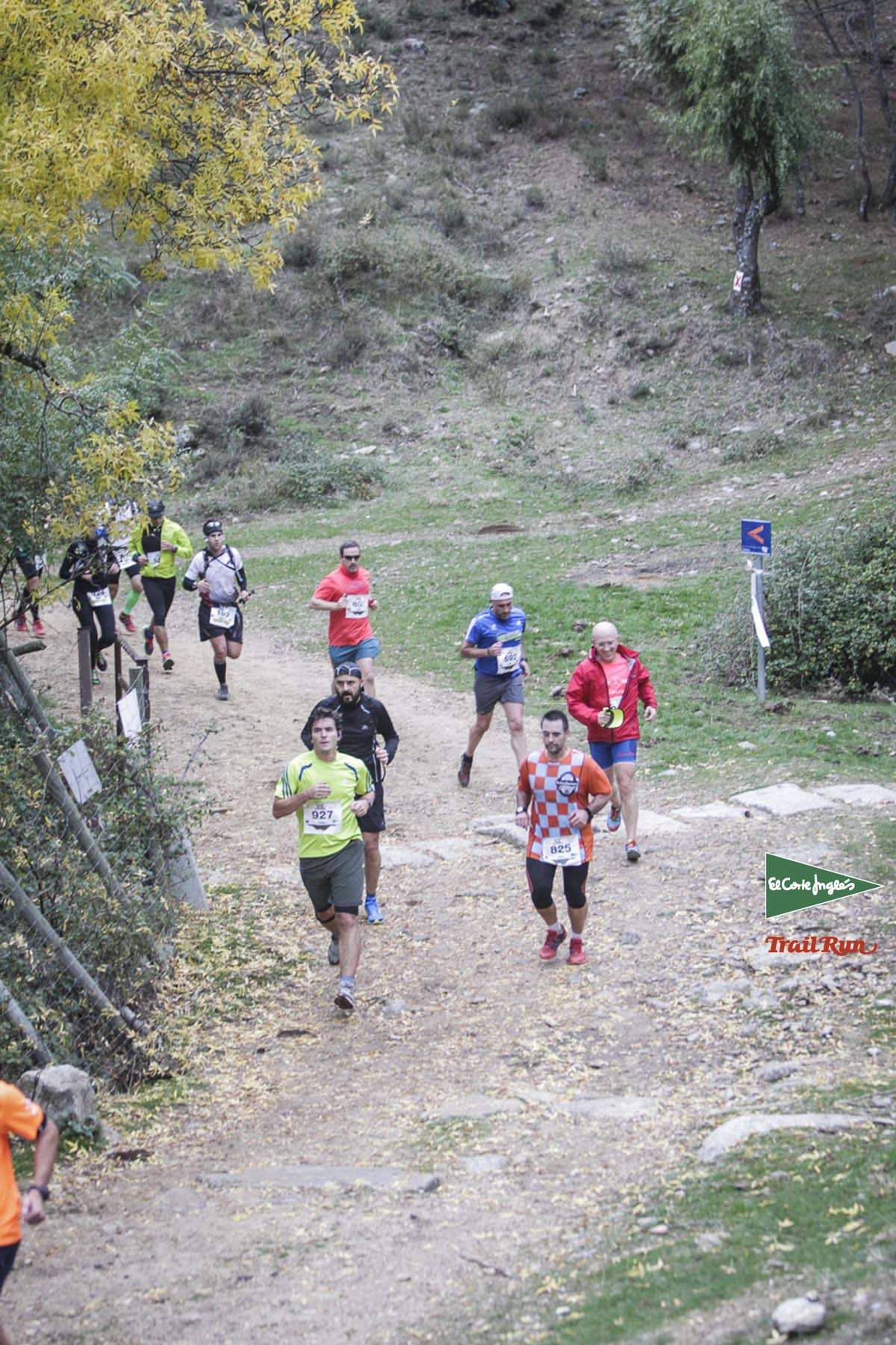Races Trail Running-1