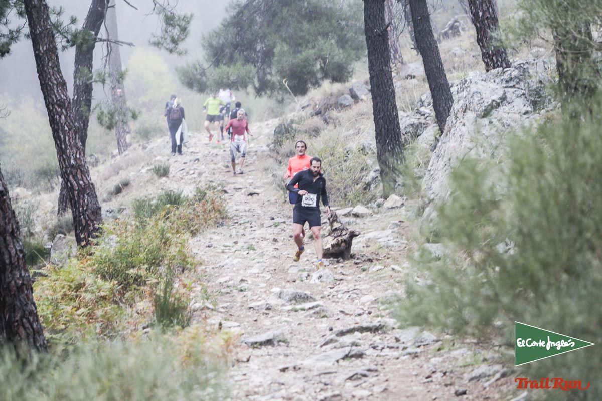 Races Trail Running-2