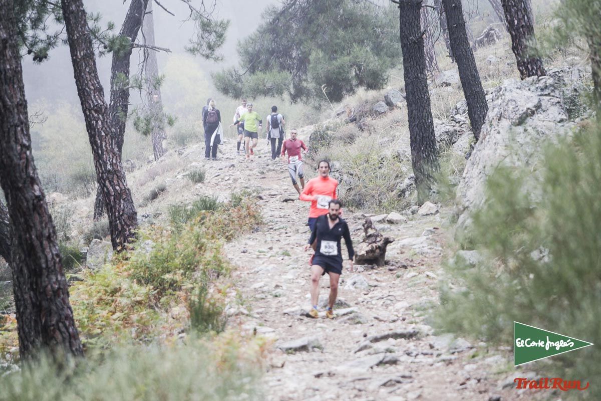 Races Trail Running-2
