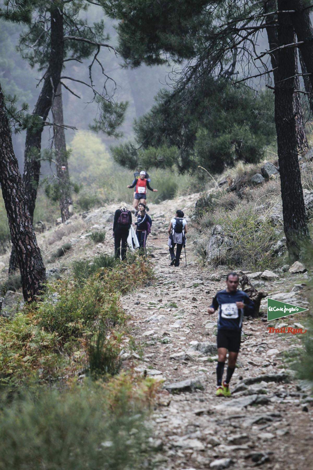 Races Trail Running-2