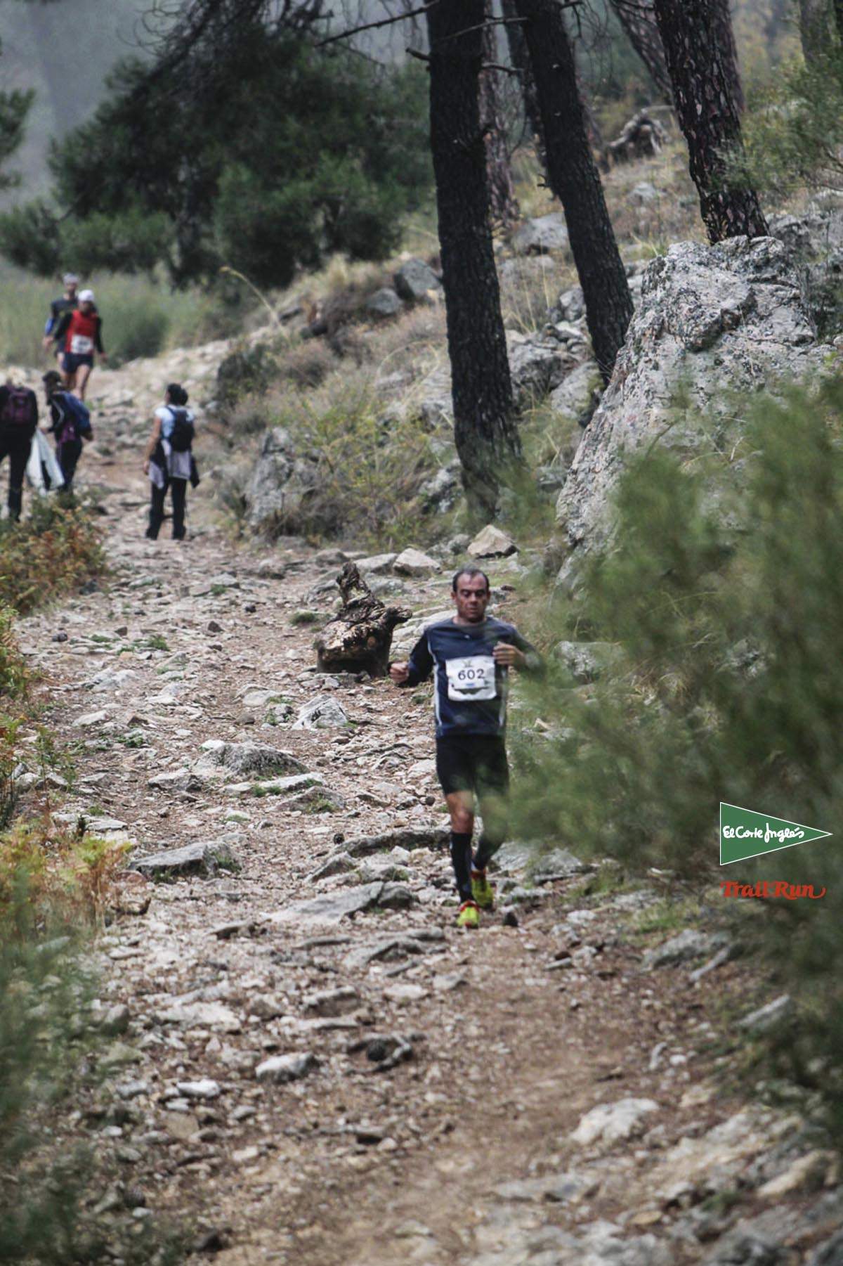 Races Trail Running-2