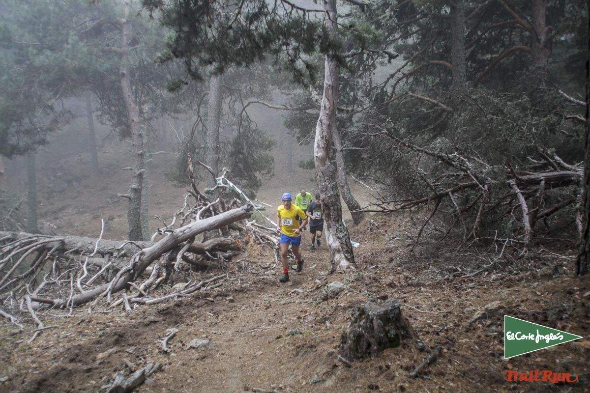 Races Trail Running-2