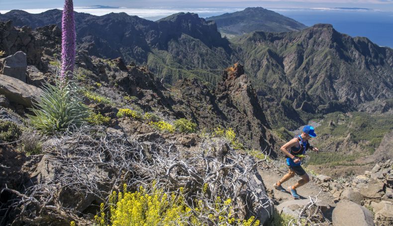 Cancelada Transvulcania 2020