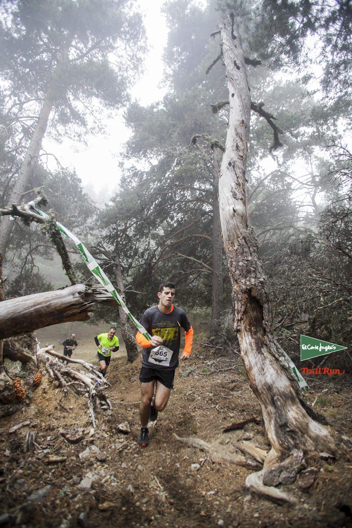 Races Trail Running-2