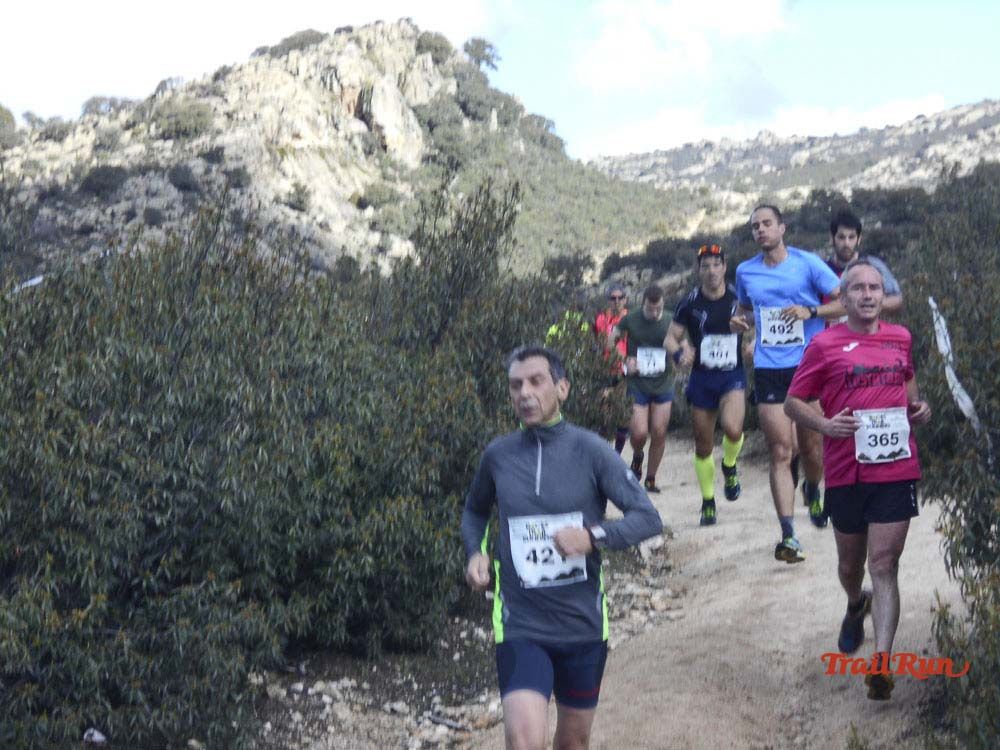 Races Trail Runing Hoyo de Manzanares 2016-6