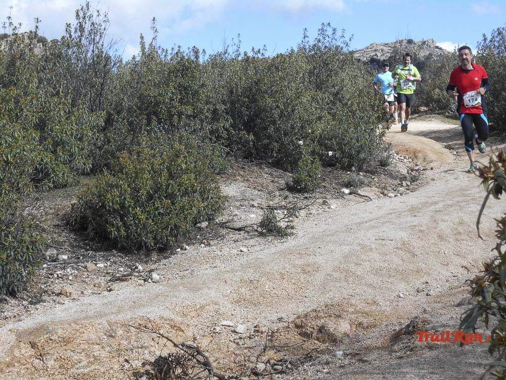 Races Trail Runing Hoyo de Manzanares 2016-6
