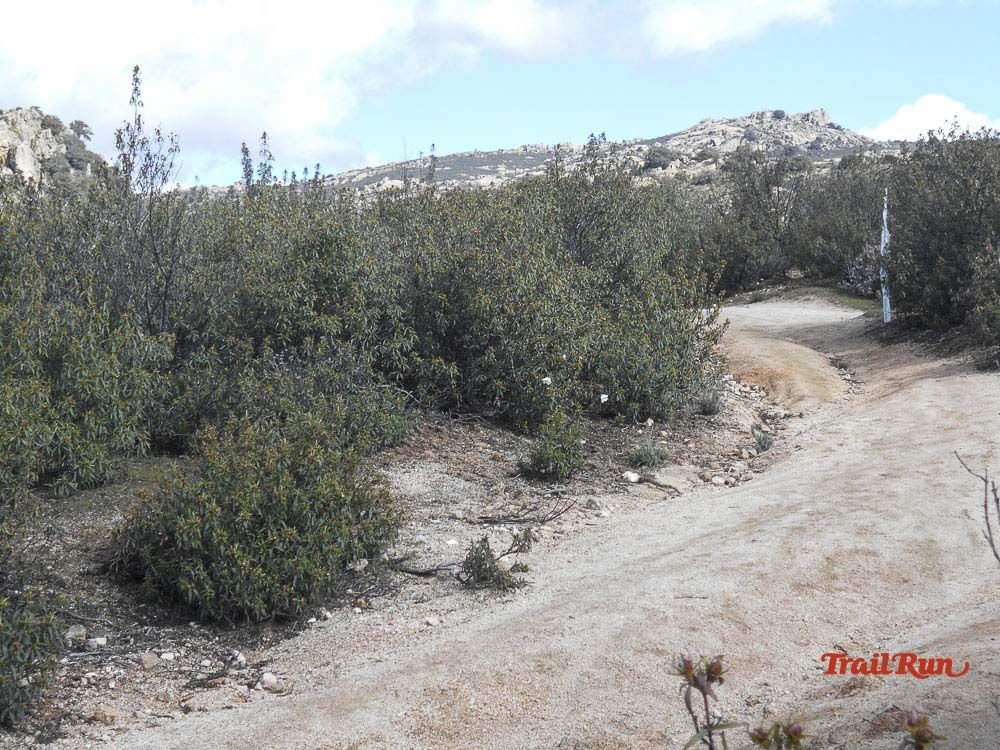 Races Trail Runing Hoyo de Manzanares 2016-6