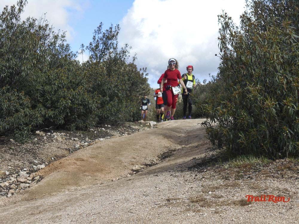 Races Trail Runing Hoyo de Manzanares 2016-6