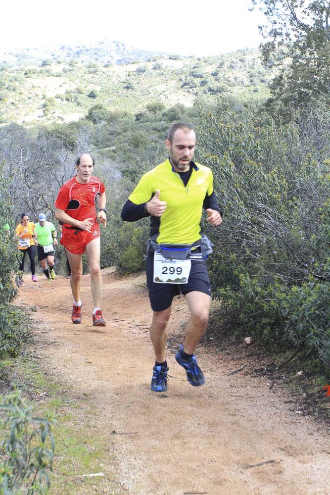 Races Trail Runing Hoyo de Manzanares 2016-7