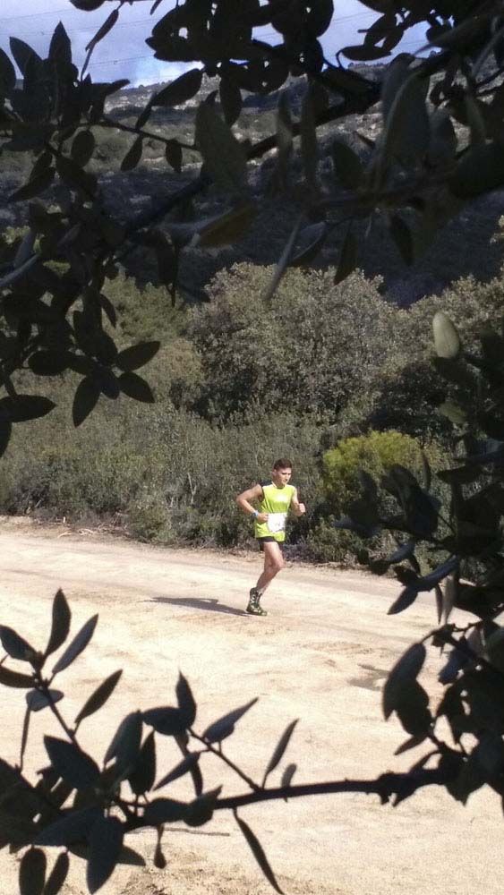 Races Trail Runing Hoyo de Manzanares 2016-9