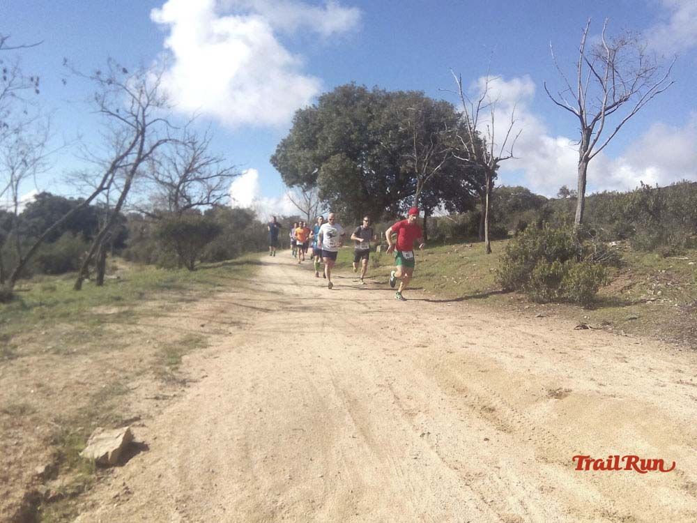 Races Trail Runing Hoyo de Manzanares 2016-9