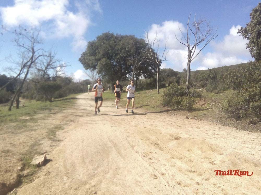 Races Trail Runing Hoyo de Manzanares 2016-9