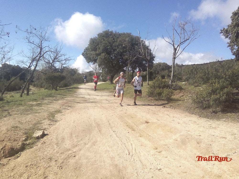 Races Trail Runing Hoyo de Manzanares 2016-9