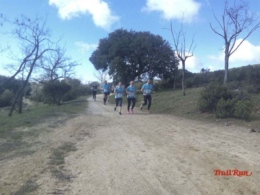 Races Trail Runing Hoyo de Manzanares 2016-9