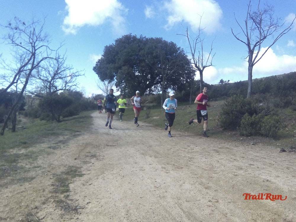 Races Trail Runing Hoyo de Manzanares 2016-9