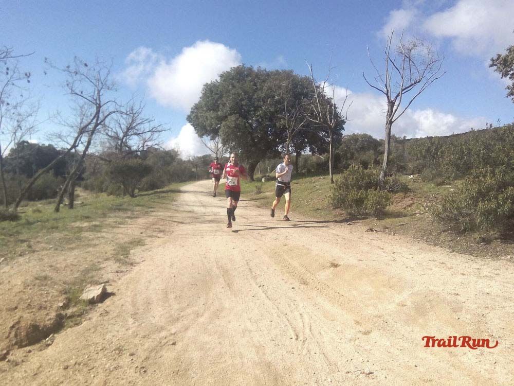 Races Trail Runing Hoyo de Manzanares 2016-9