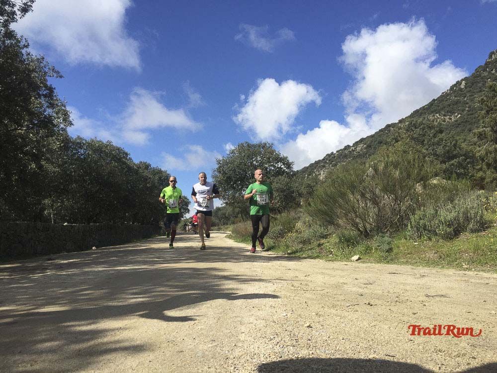 Races Trail Runing Hoyo de Manzanares 2016-9