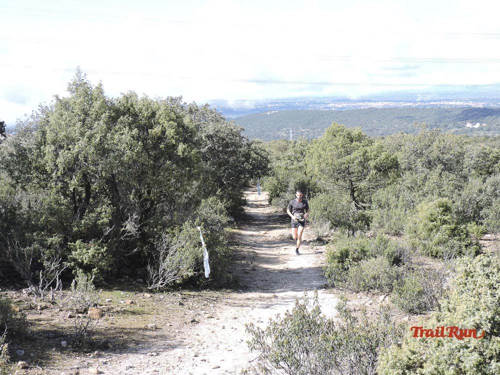 Races Trail Runing Hoyo de Manzanares 2016-10