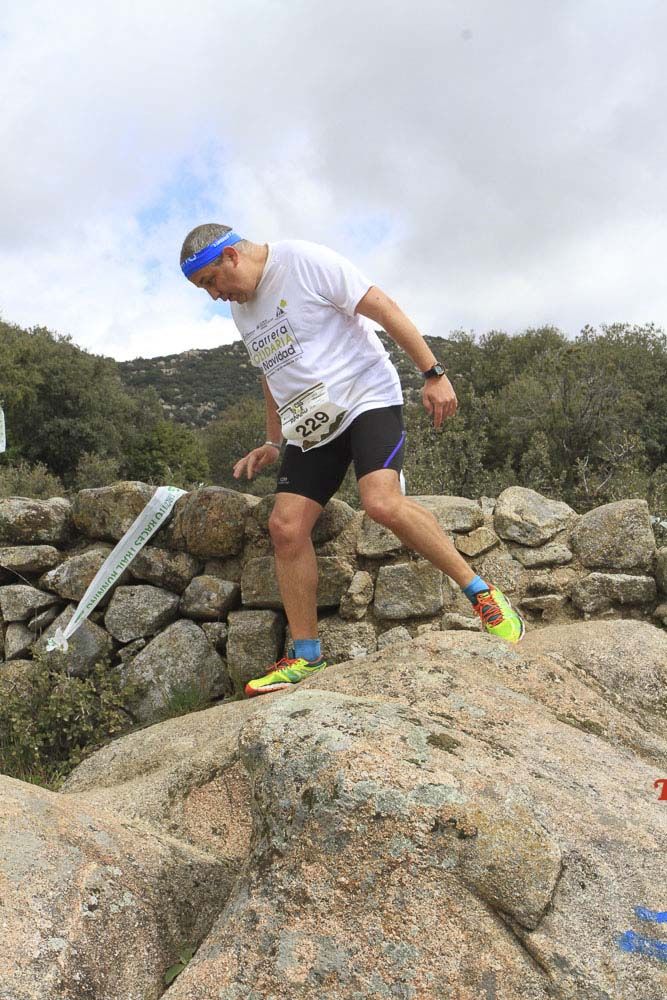 Races Trail Runing Hoyo de Manzanares 2016-10