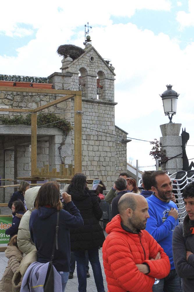 Races Trail Runing Hoyo de Manzanares 2016-10